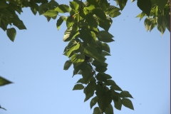 ROB_8308